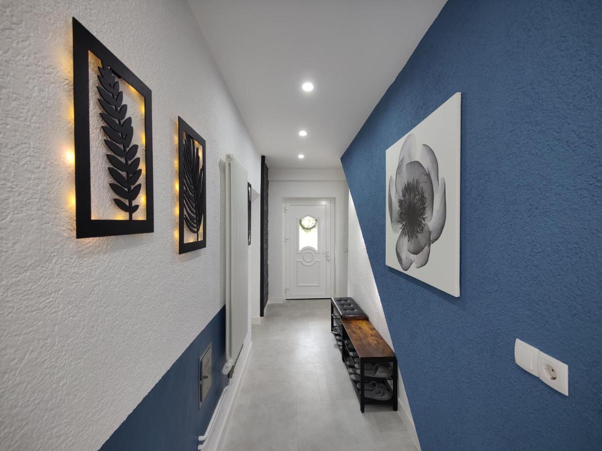 Ferienhaus Villa Adelsberg Mit Dachterrasse In Zentraler Lage Fuer Bis Zu 10 Personen Κέμνιτς Εξωτερικό φωτογραφία